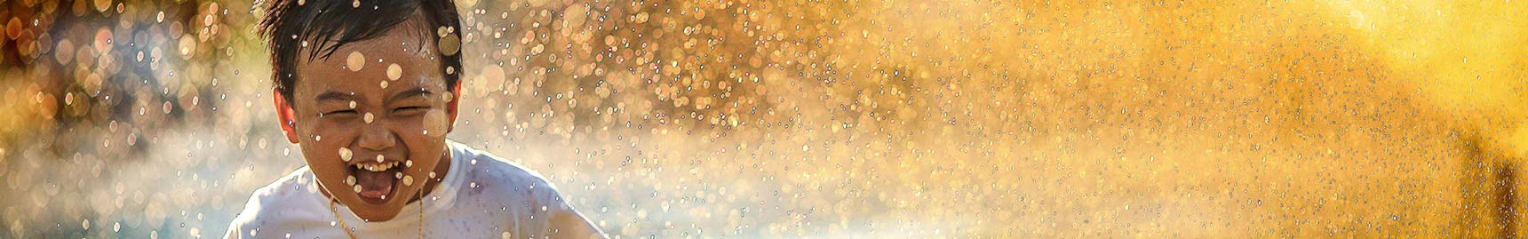 Plano Funeral em Campinas