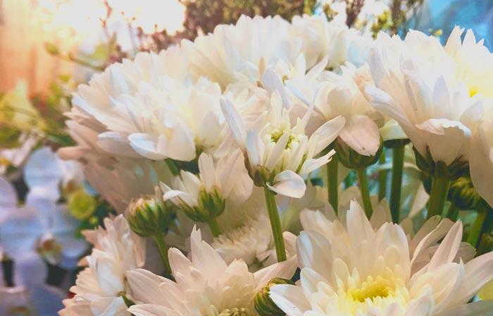 Plano Funerário em Campinas